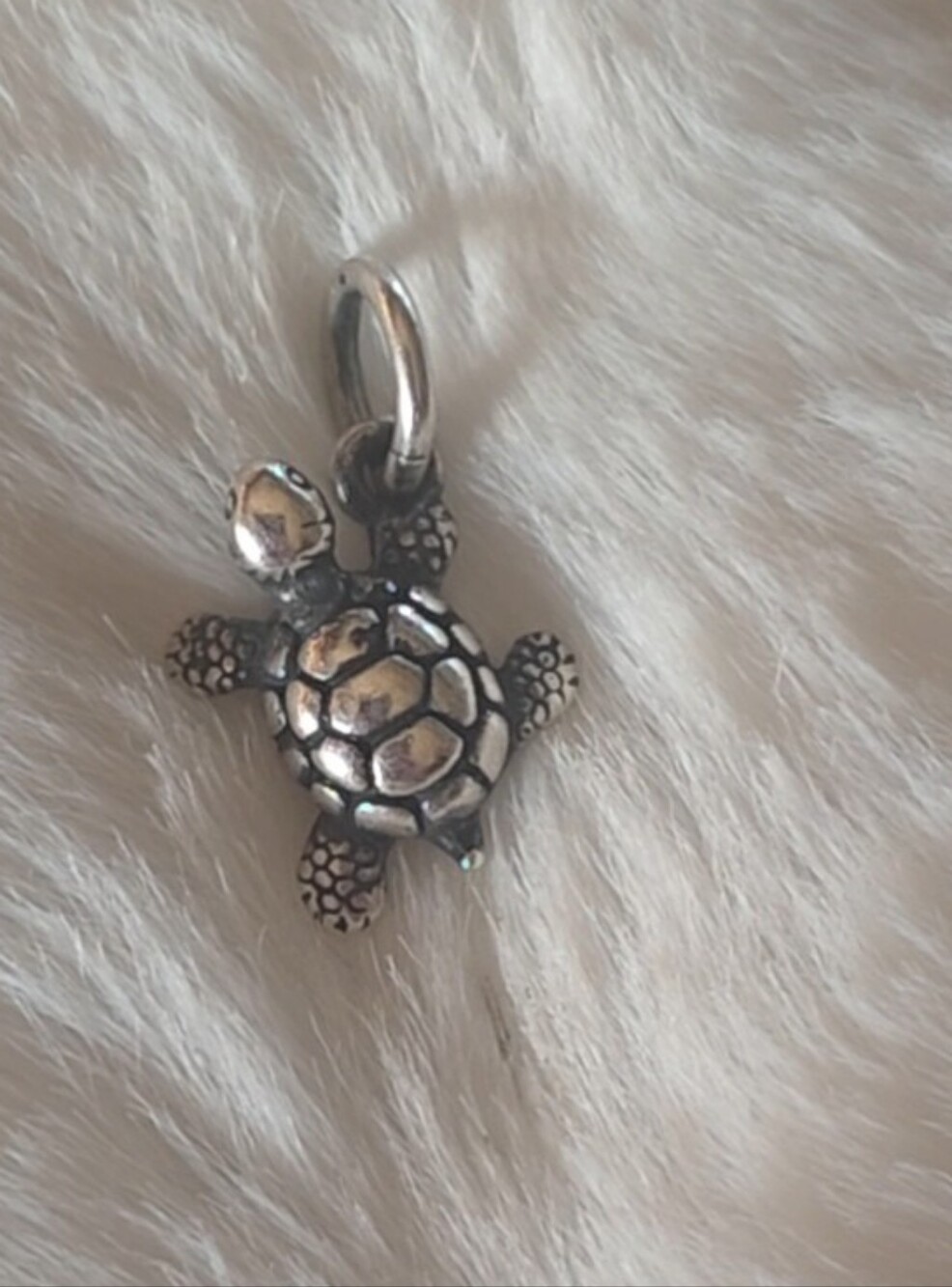 James Avery Sterling Silver Turtle Charm Pendant - Picture 3 of 6